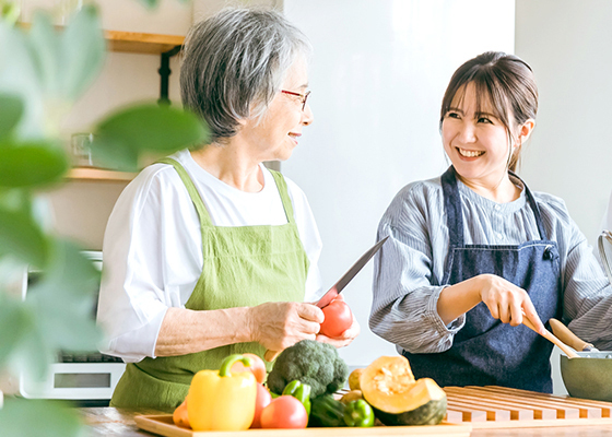 予防訪問介護